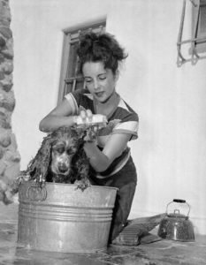 Elizabeth Taylor dog