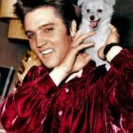 Elvis-Presley