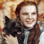 judy-garland