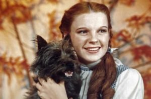 judy-garland